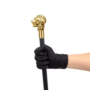 Bastone da Passeggio Decorativo con Testa di Leone