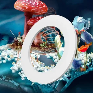 aromaterapia, profumo per auto